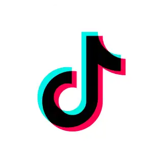 TikTok Ads